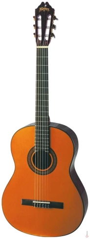Гитара Washburn C40 фото 1