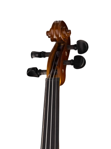 160A-4/4 Siena Скрипка студенческая 4/4, Strunal фото 2