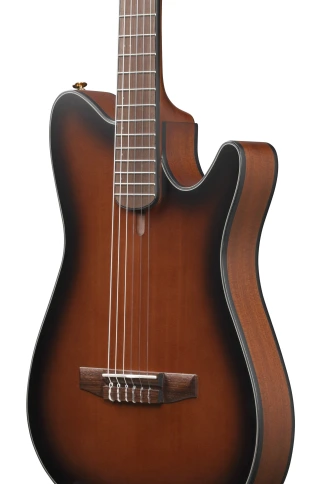 Электроакустическая гитара IBANEZ FRH10N-BSF фото 4