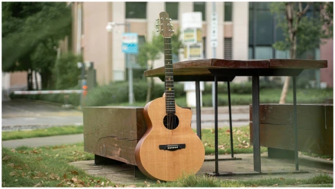 NEBULA Jupiter JC 41 - Гитара акустическая шестиструнная фото 14