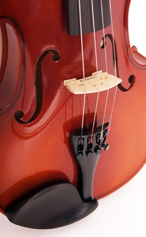 B15-1/4 Скрипка в футляре со смычком, Strunal фото 2
