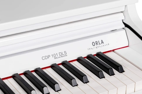Цифровое пианино Orla CDP-101 POLISHED WHITE фото 4