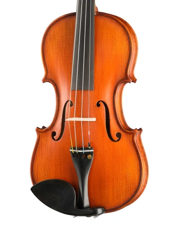 PU-V044-OH Professional Gama Unique Ash Скрипка 4/4, Gliga фото 3