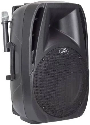 PEAVEY PBK 15FM 100W активный комплект фото 4