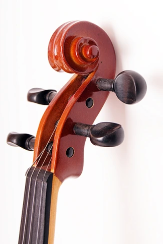 150-1/2 Скрипка студенческая Strunal фото 2