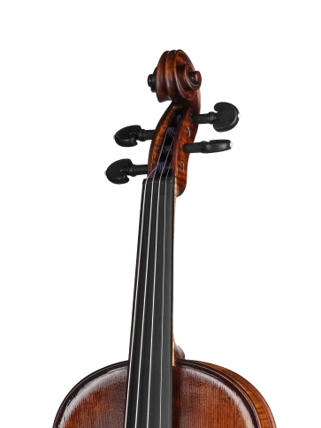 P-V044-F Professional Gama Special Скрипка 4/4, Gliga фото 3