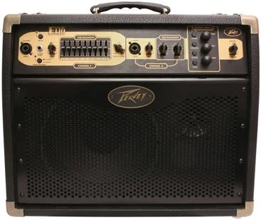 PEAVEY Ecoustic E110 - Комбоусилитель фото 3