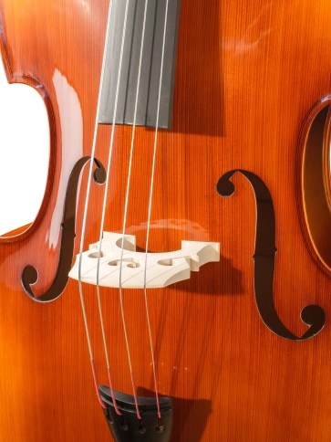 B100-3/4 Rhapsody Student Контрабас студенческий, Hora фото 3