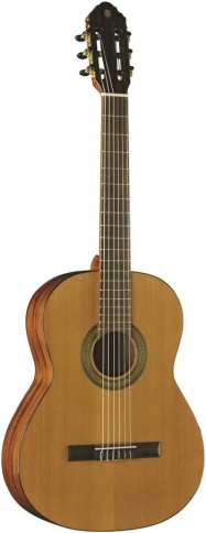 EKO Vibra 200 - Гитара классическая 4/4 фото 1