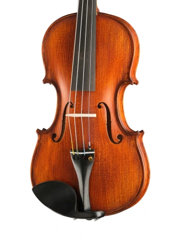 P-V044-OB Proffesional Gama OPB Birds Eye Скрипка 4/4, Gliga фото 3