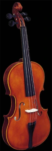 3/120 Альт 41см, Strunal фото 1