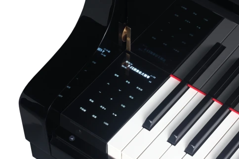 Цифровой рояль Medeli GP805 фото 12