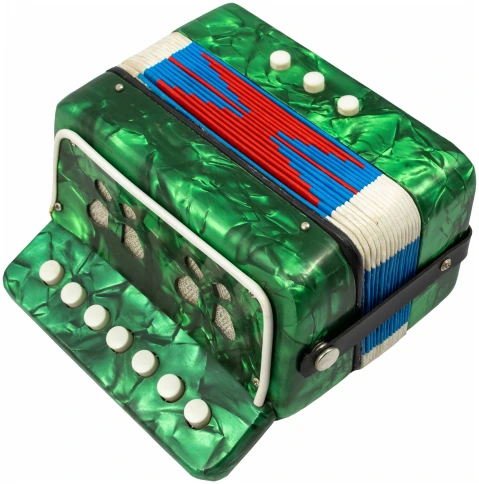 BEE DF910B - Баян фото 4