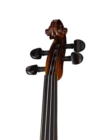 160A-3/4 Siena Скрипка студенческая 3/4, Strunal фото 2