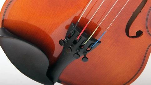 B16-1/8 Скрипка в футляре со смычком, Strunal фото 4