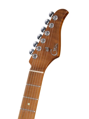 Электрогитара с процессором эффектов GTRS P801-Professional-801-BL фото 4