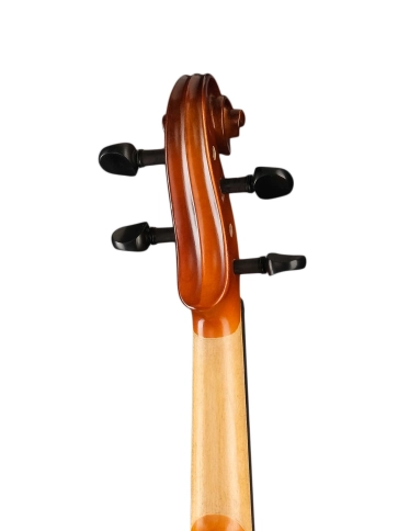 A100-16,5 Rhapsody Student Альт студенческий, Hora фото 5