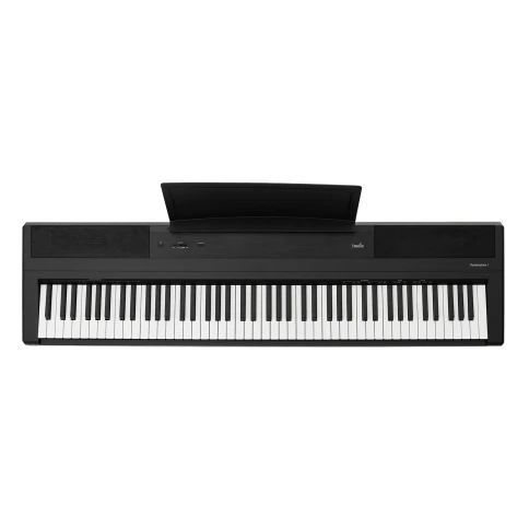Цифровое фортепиано Emotive Hammerpiano 1 BK фото 1