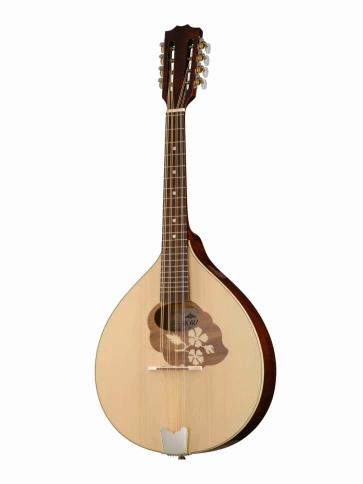 M1088 RgII Мандола Hora фото 1