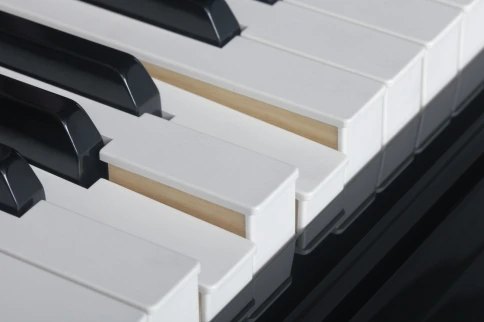 Цифровой рояль Medeli GP805 фото 15