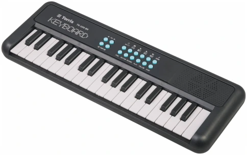 TERRIS TK-100 BK - Синтезатор фото 2