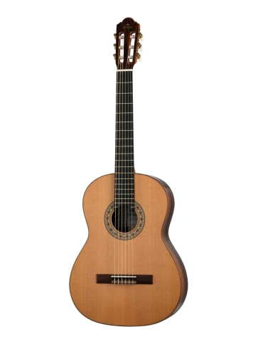 N1014 SM20 Regun Классическая гитара Hora фото 1