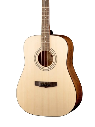 Гитара акустическая Cort EARTH PACK OP фото 3