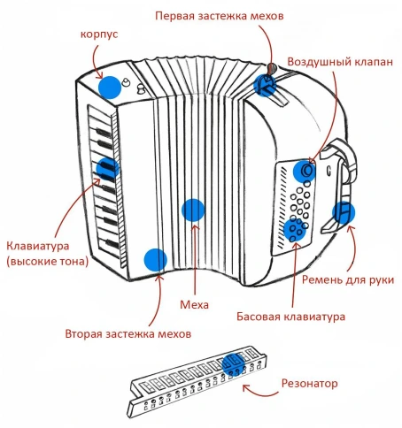 HOHNER XS - Аккордеон фото 2