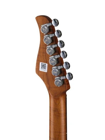 Электрогитара с процессором эффектов GTRS P800-Professional-800-DS фото 7