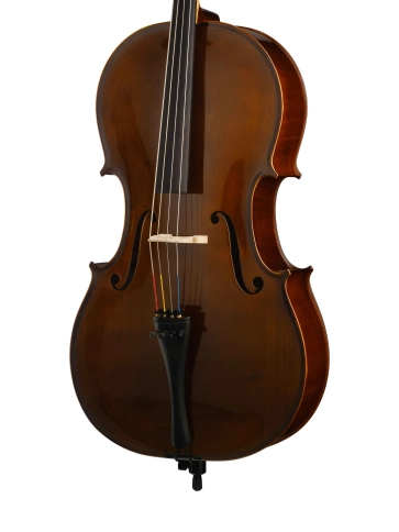 4/4we-4/4 Виолончель полупрофессиональная, Strunal фото 2