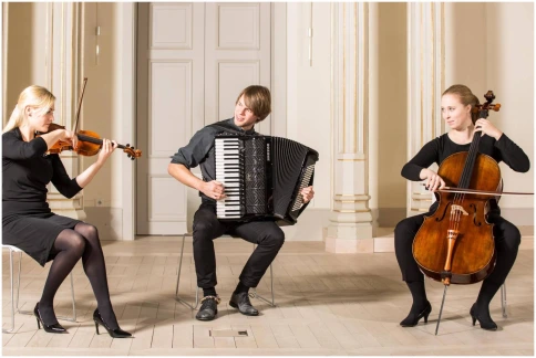 HOHNER MATTIA IV 120 BK gun black - Аккордеон 4/4 фото 11