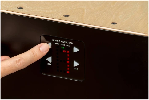 ROLAND Roland EC-10 - Кахон фото 3