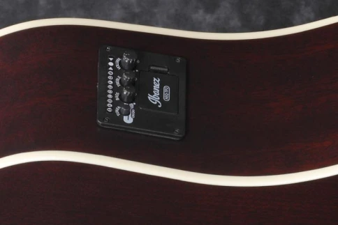 Электроакустическая гитара IBANEZ AAD50CE-LBS фото 6