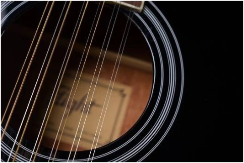 FLIGHT D-200/12 EQ BK - Гитара электроакустическая 12-струнная фото 11