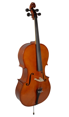 4/17we-1/2 Виолончель студенческая 1/2, Strunal фото 1