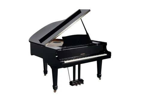 Цифровой рояль Medeli GP805 фото 4