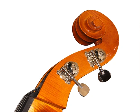 5/20D-4/4 Контрабас Strunal фото 4