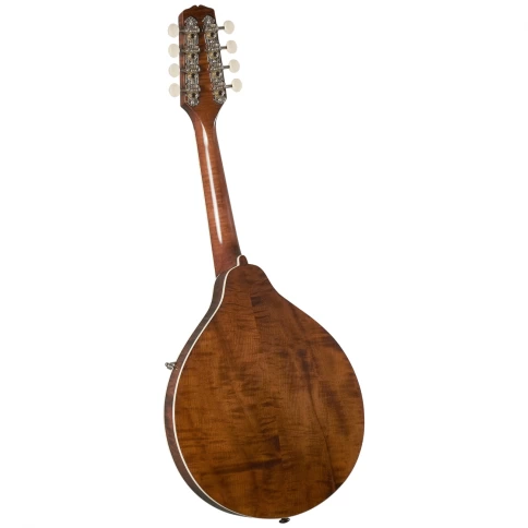 Мандолина Kentucky КМ-256 фото 2