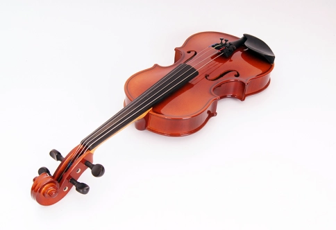 B16-1/8 Скрипка в футляре со смычком, Strunal фото 8