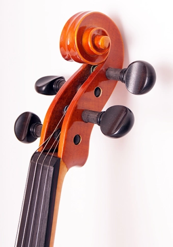 29wA-4/4 Скрипка студенческая Strunal фото 5