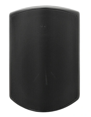 SVS Audiotechnik WSP-6B Pro Всепогодная трансляционная акустическая система фото 1