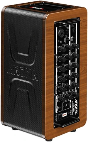 AROMA AG-60A - Комбоусилитель для акустической гитары фото 1