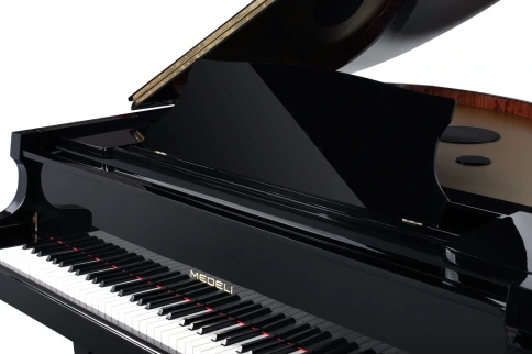 Цифровой рояль Medeli GP805 фото 10