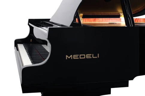 Цифровой рояль Medeli GP805 фото 14