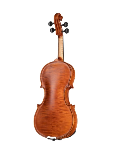 AW-V012 Workshop Gems 1 Скрипка 1/2, Gliga фото 4