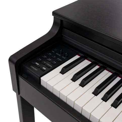 Цифровое фортепиано ROCKDALE Concert Rosewood фото 12