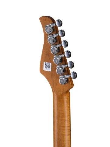 Электрогитара с процессором эффектов GTRS P801-Professional-801-RD фото 8