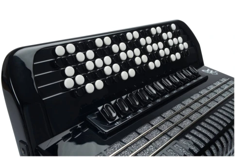 WELTMEISTER Romance 874-87/120/IV/11/5 BK - Баян фото 2