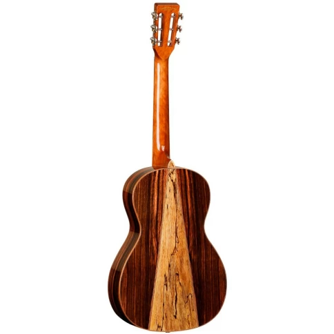 Электроакустическая гитара TANGLEWOOD TWJP E фото 2