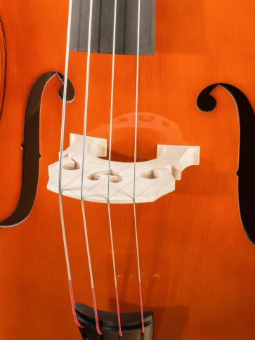 B120-4/4 Student laminated top Контрабас студенческий, Hora фото 4